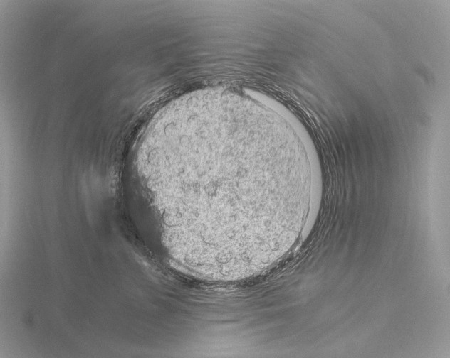 X0000115150715200912081347