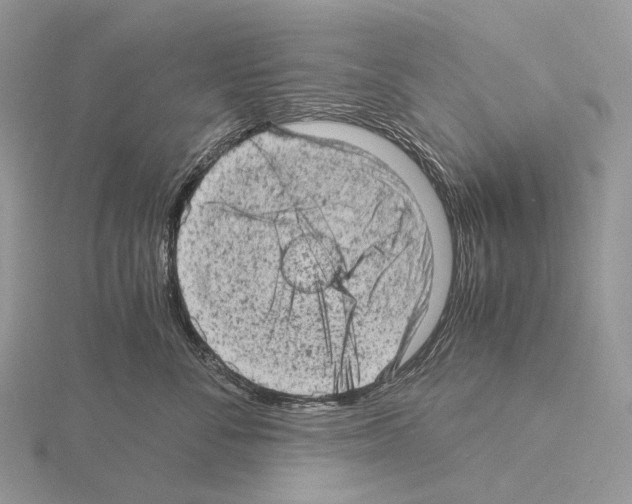 X0000115150716200912081347