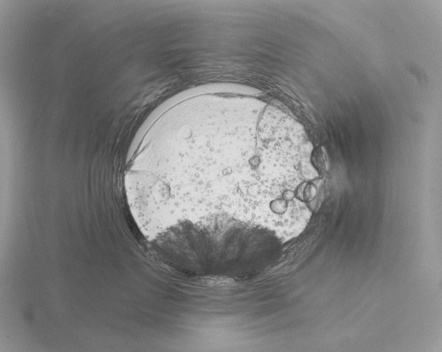 X0000115150719200912081347