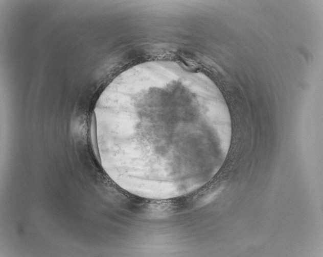 X0000115150720200912081347