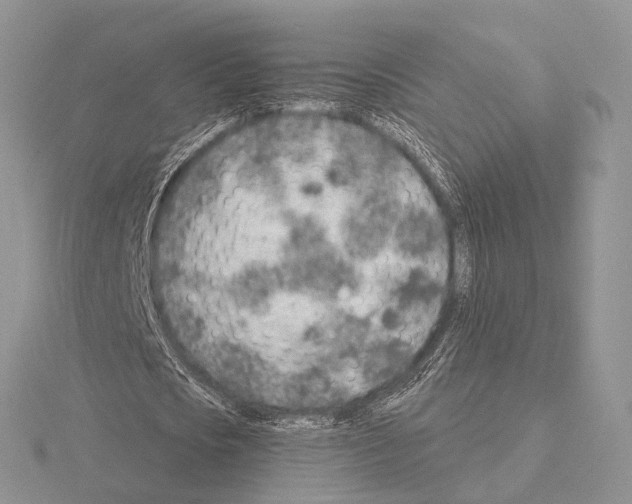 X0000115150721200912081346