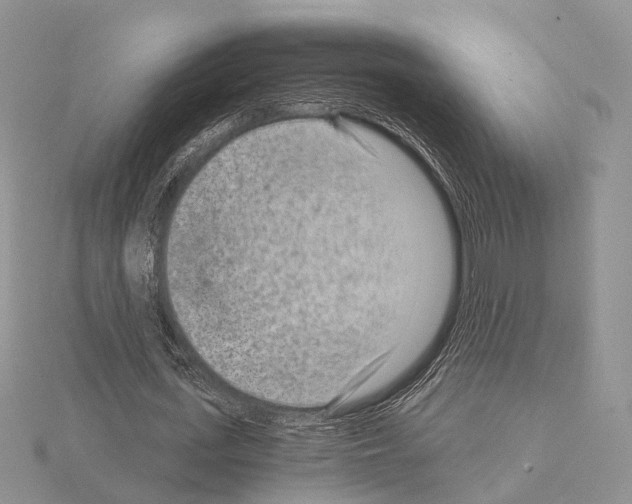 X0000115150723200912081346