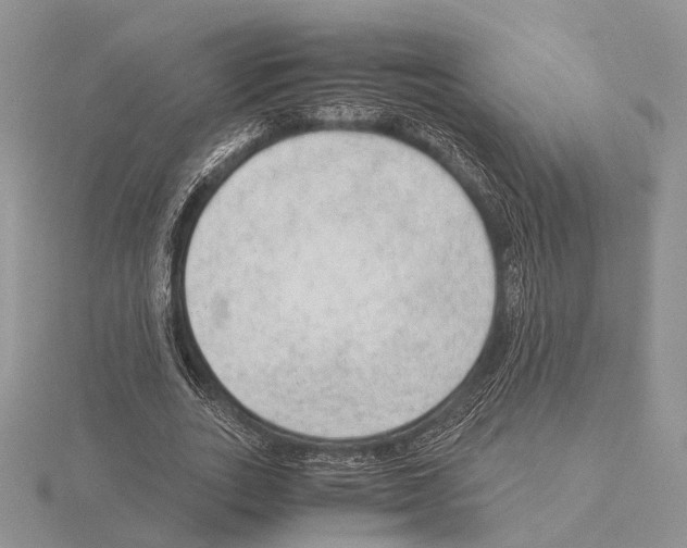 X0000115150727200912081346