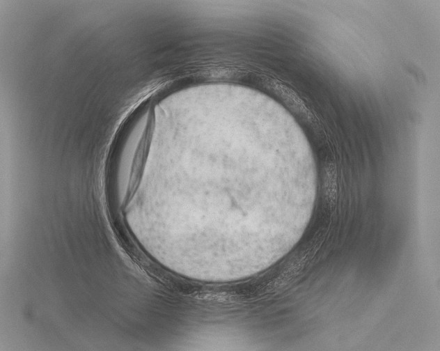 X0000115150730200912081346