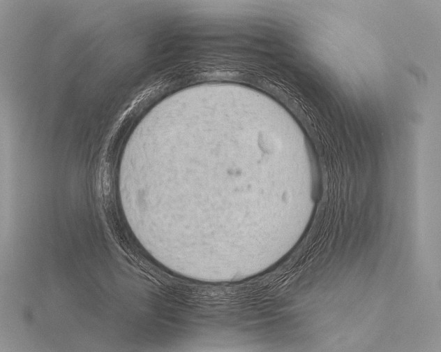 X0000115150731200912081346