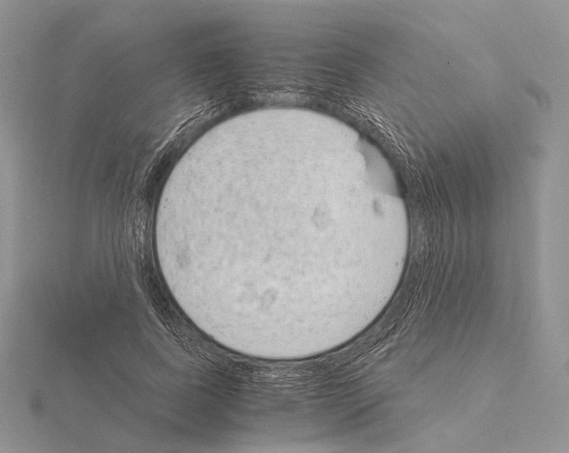 X0000115150739200912081346