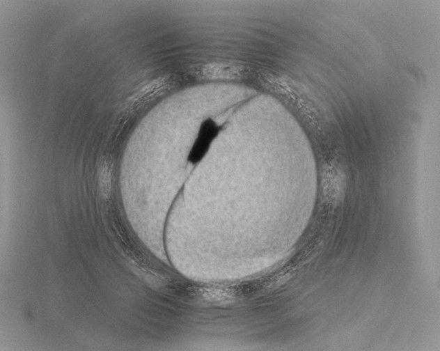 X0000115150741200912081346