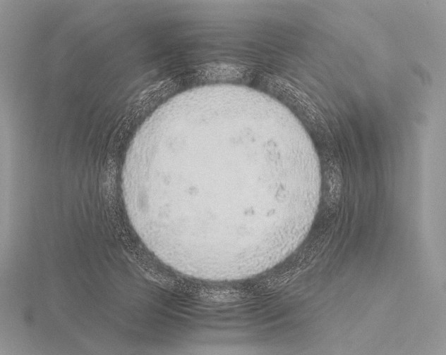 X0000115150745200912081346