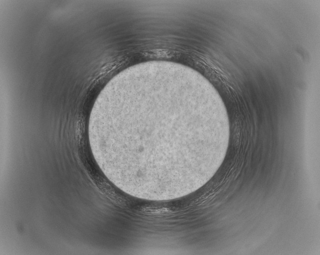 X0000115150747200912081346