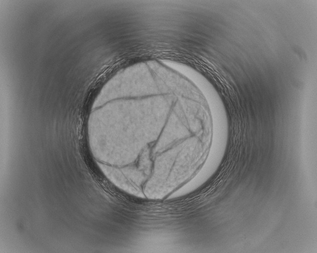 X0000115150750200912081346