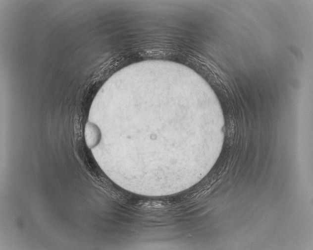 X0000115150751200912081346