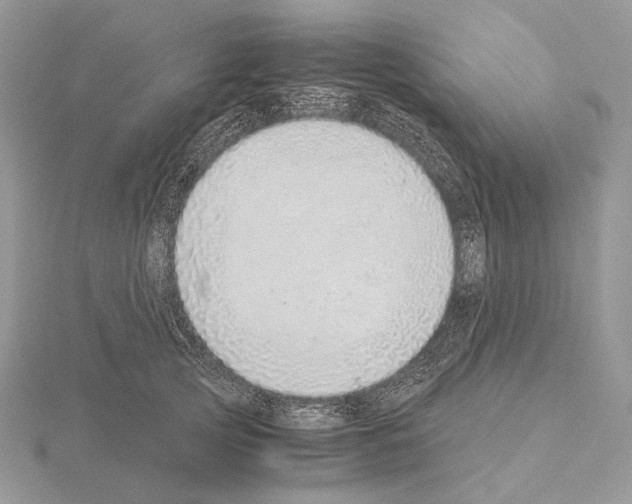 X0000115150753200912081346