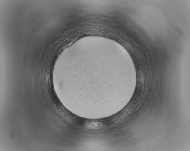 X0000115150754200912081346