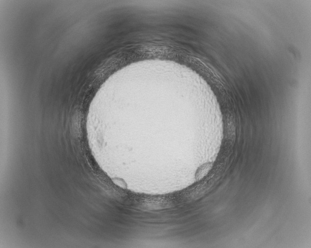 X0000115150757200912081346