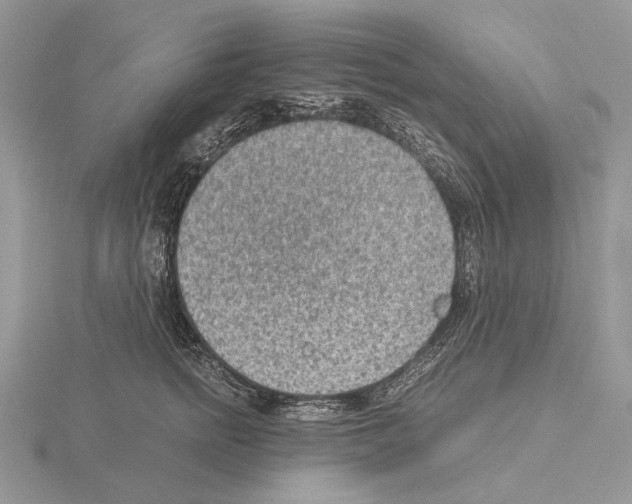 X0000115150758200912081346