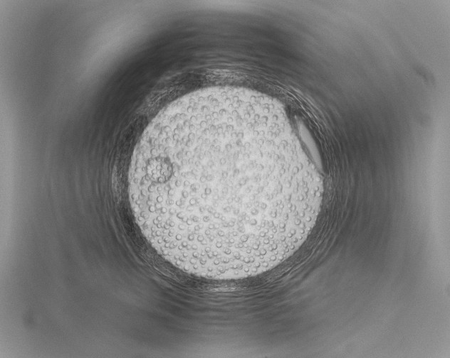 X0000115150759200912081346