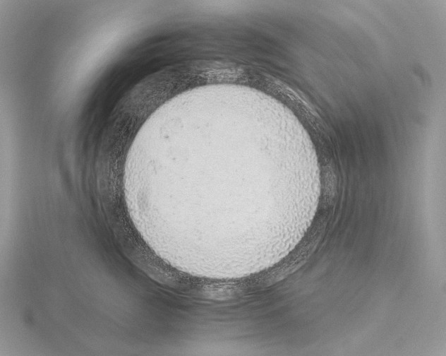 X0000115150761200912081346