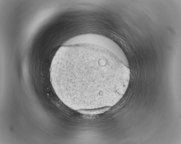 X0000115150762200912081346