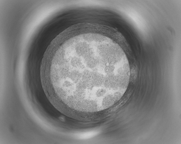 X0000115150765200912081347