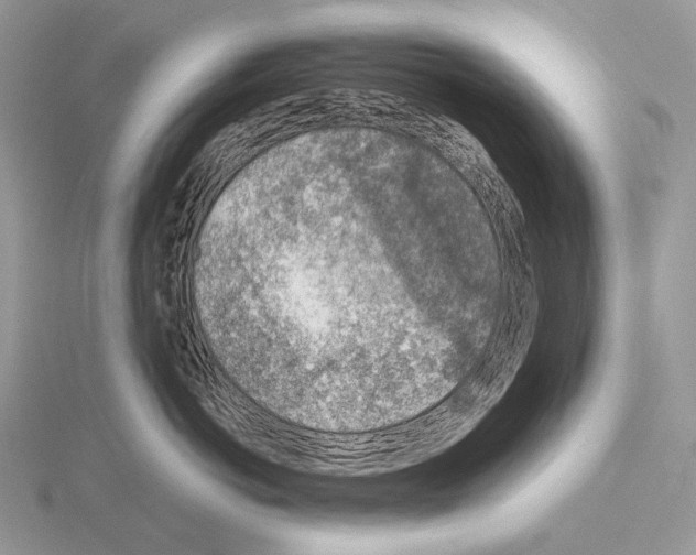 X0000115150766200912081347