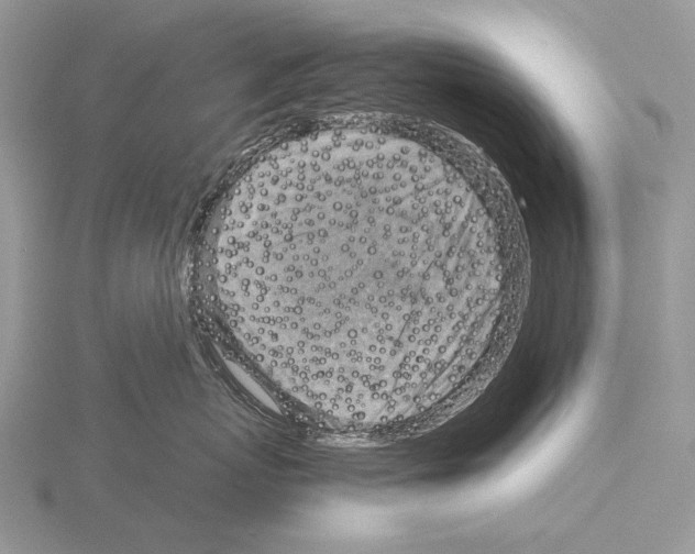 X0000115150767200912081347