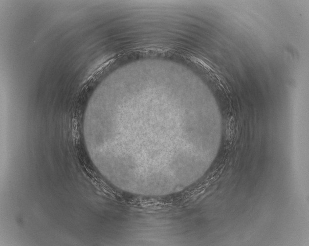 X0000115150774200912081346