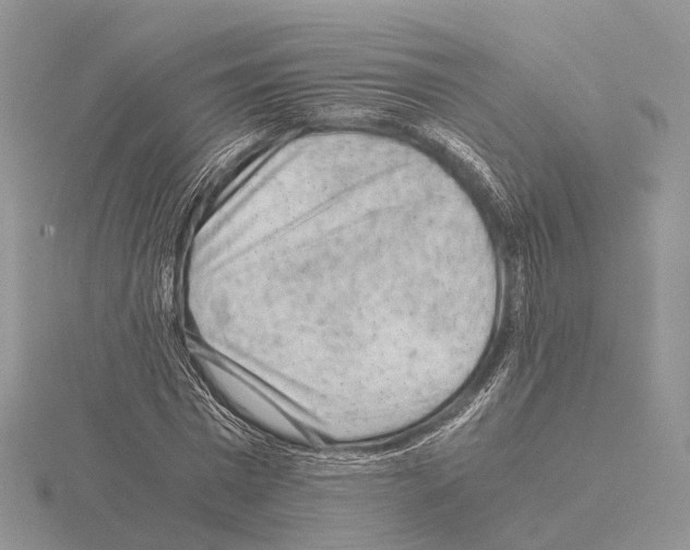 X0000115150777200912081346