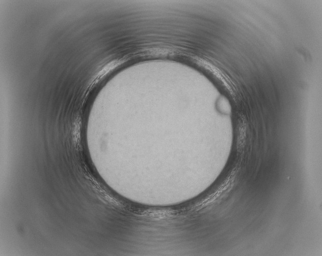 X0000115150778200912081346