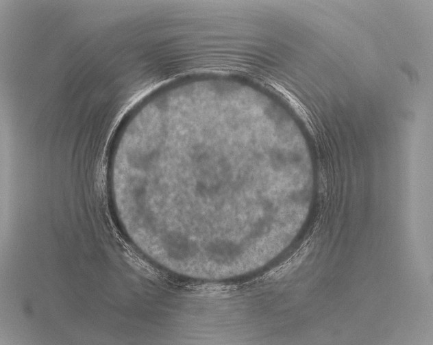 X0000115150779200912081346