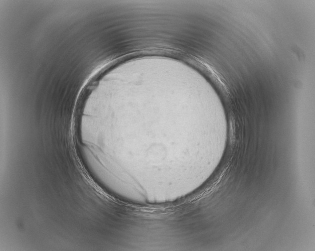 X0000115150780200912081346