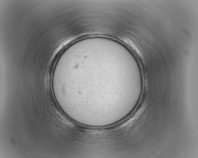 X0000115150781200912081346