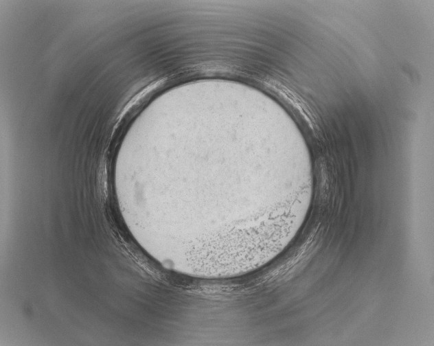 X0000115150782200912081346