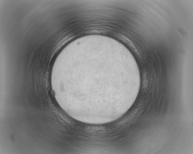 X0000115150786200912081346