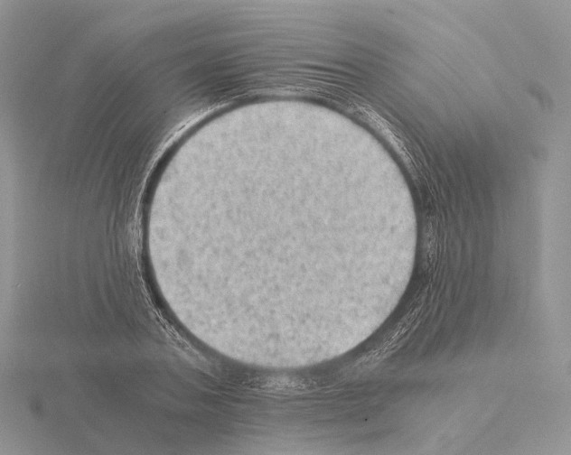 X0000115150787200912081346