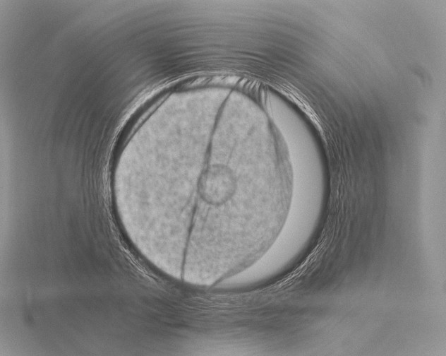 X0000115150789200912081346