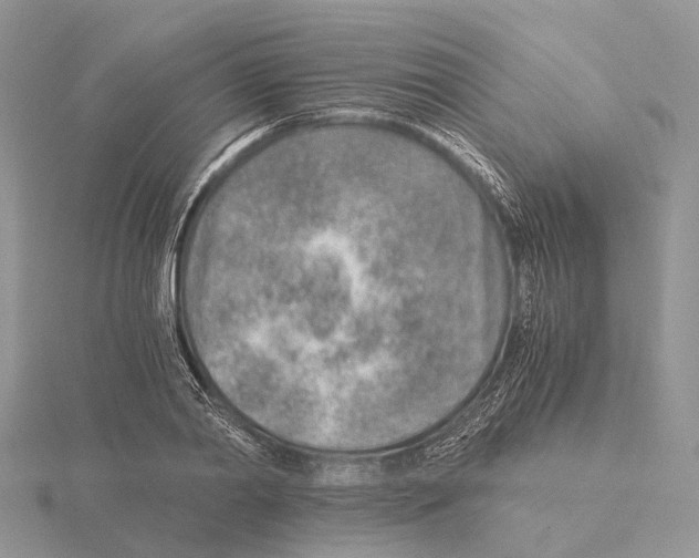 X0000115150790200912081346