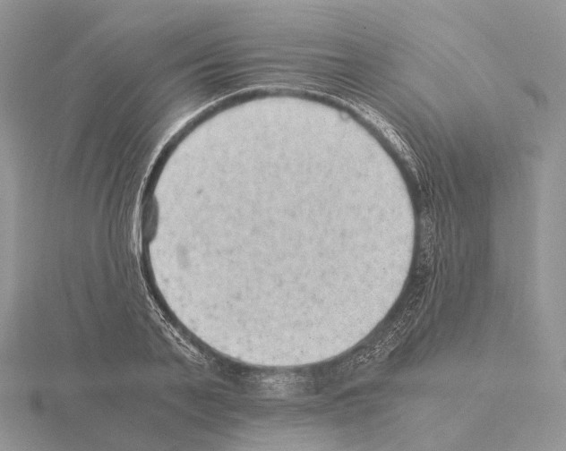 X0000115150791200912081346