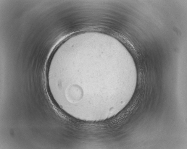 X0000115150792200912081346