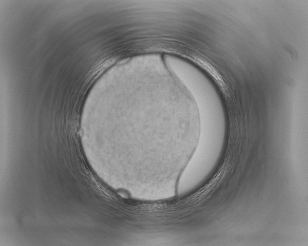 X0000115150793200912081346