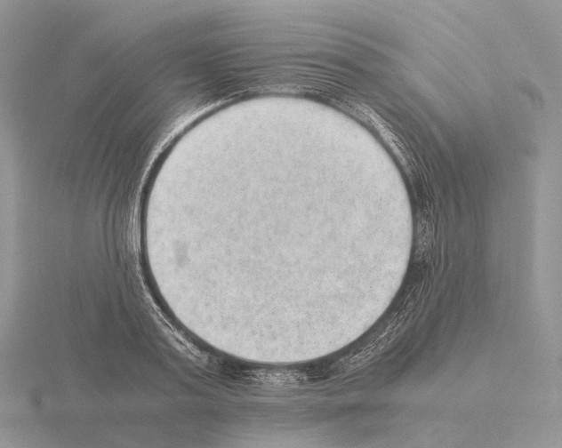 X0000115150795200912081346