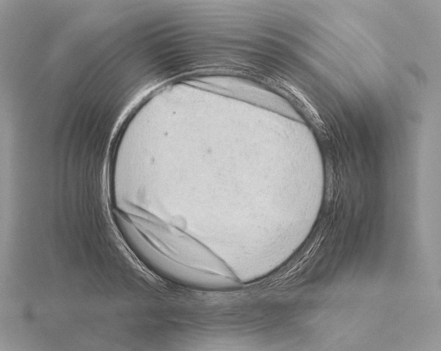 X0000115150796200912081346