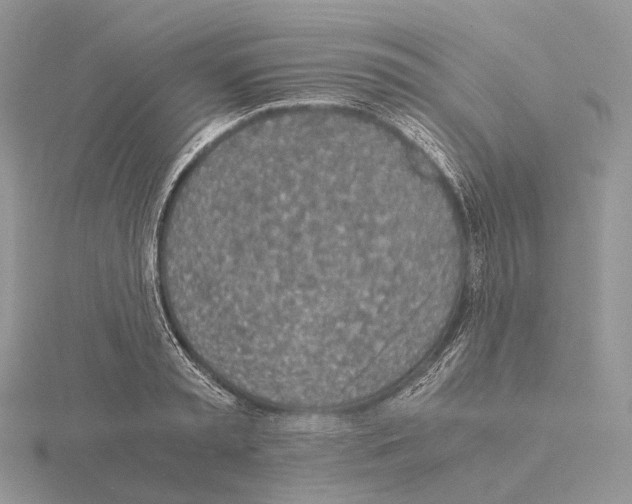 X0000115150797200912081346