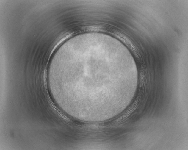 X0000115150798200912081346