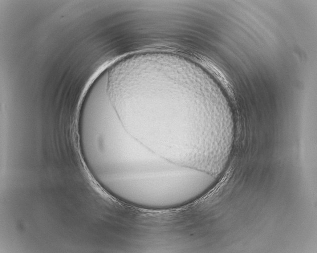 X0000115150800200912081346