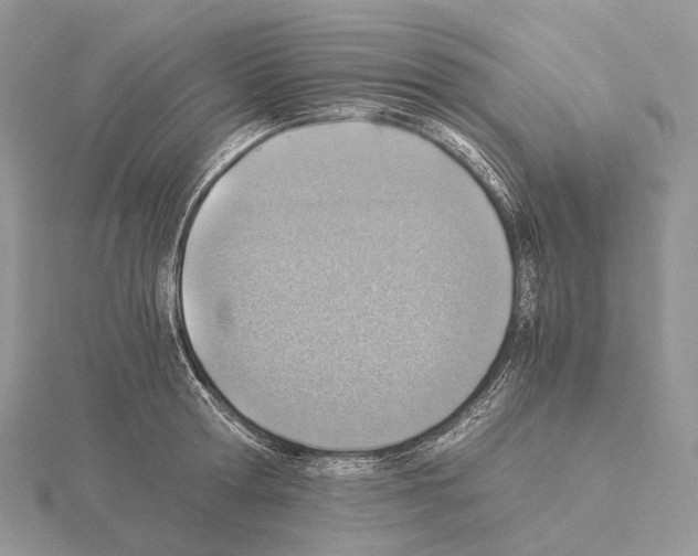 X0000115150802200912081346