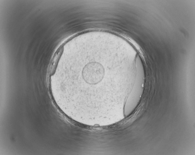 X0000115150807200912081345