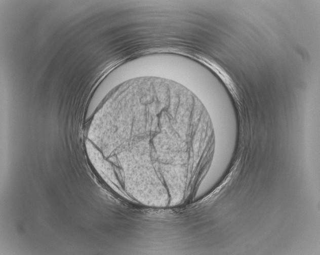 X0000115150809200912081345