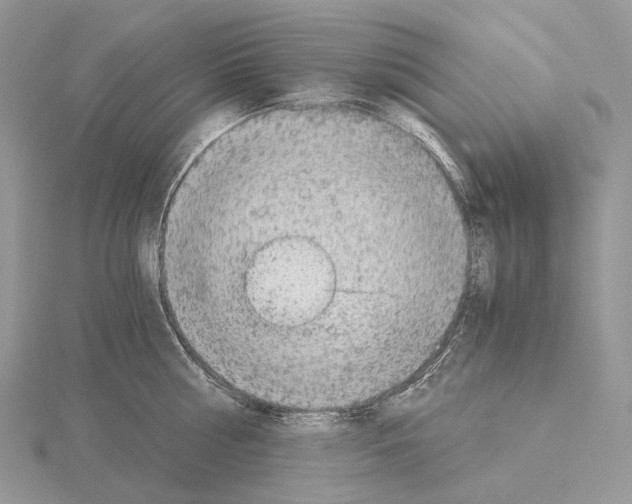 X0000115150810200912081345