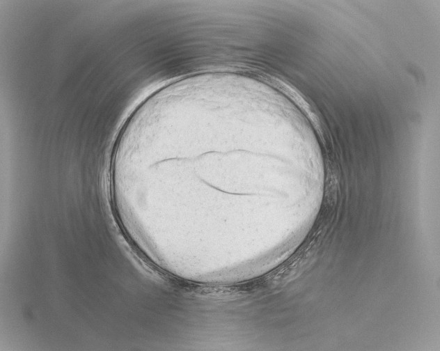 X0000115150811200912081345