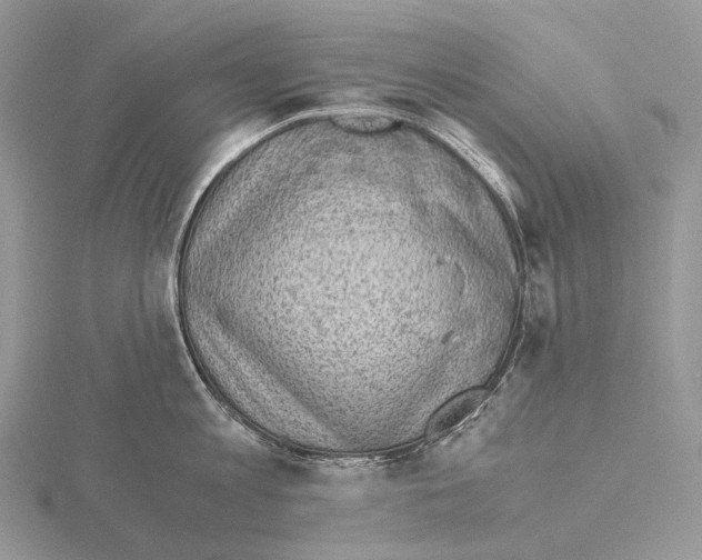 X0000115150813200912081345